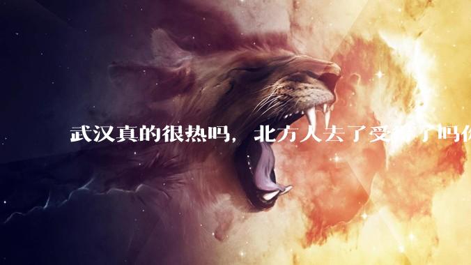 武汉真的很热吗，北方人去了受得了吗你?