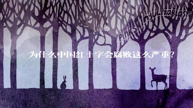 为什么中国红十字会腐败这么严重？
