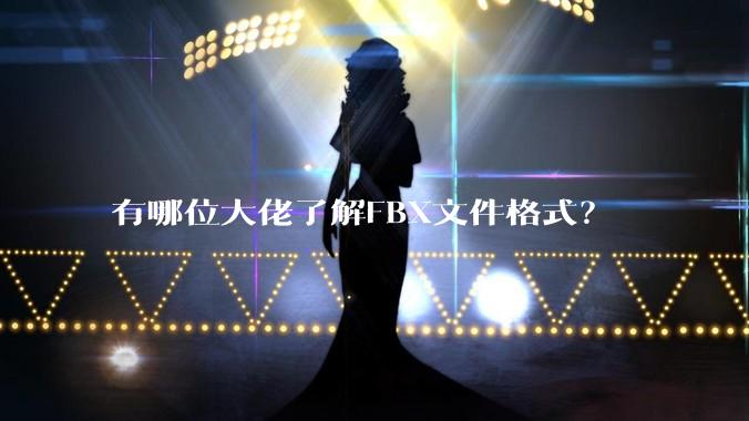 有哪位大佬了解FBX文件格式？