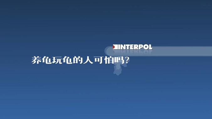 养龟玩龟的人可怕吗？